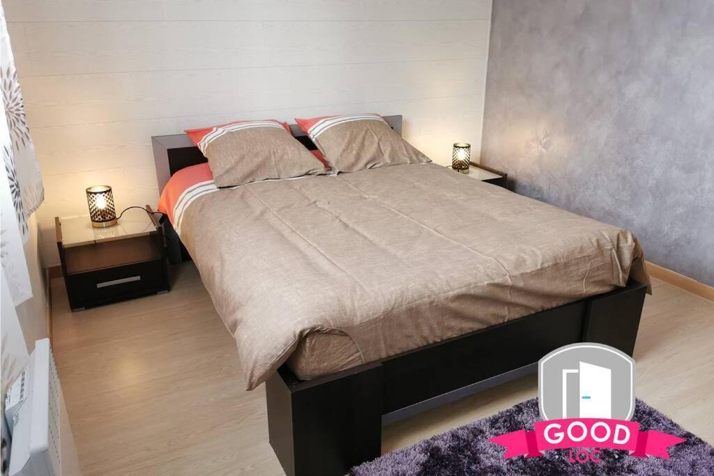 Le Micy - Joli T2 + Parking Apartment Orleans Ngoại thất bức ảnh