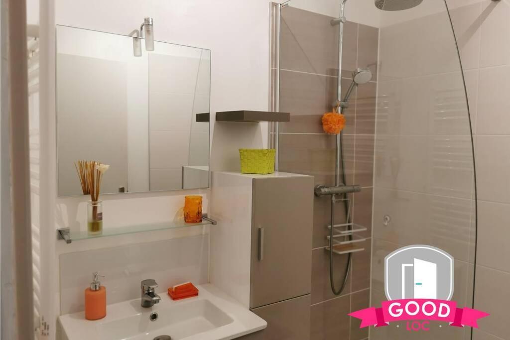 Le Micy - Joli T2 + Parking Apartment Orleans Ngoại thất bức ảnh
