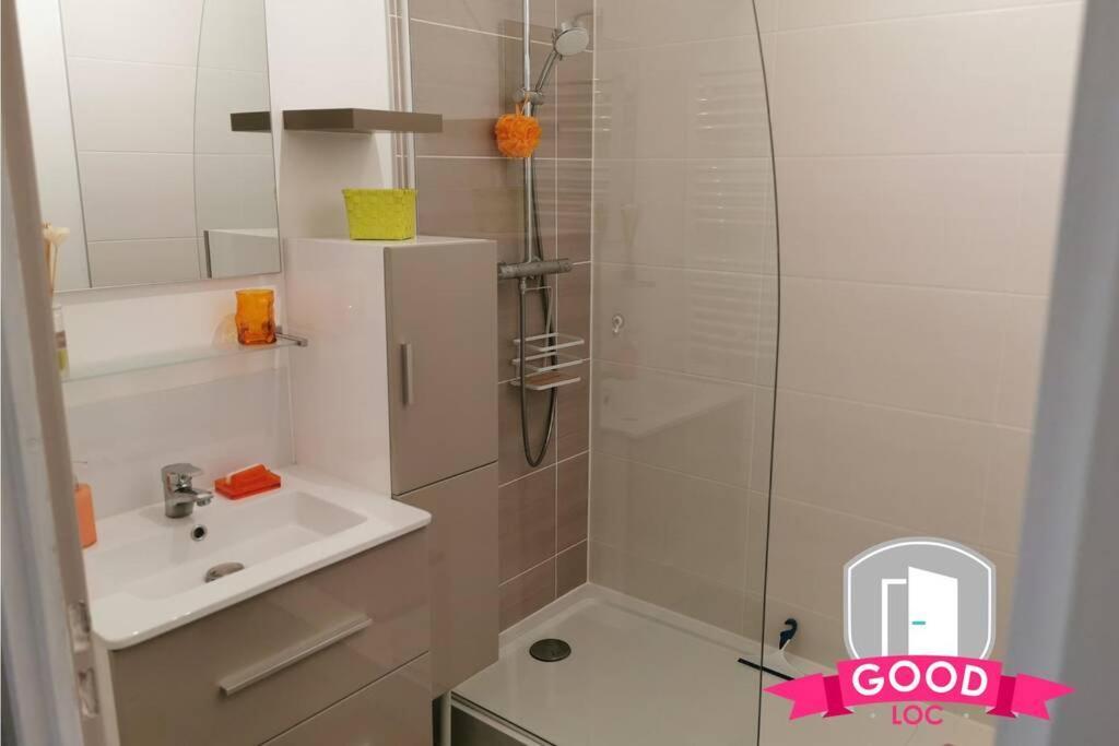 Le Micy - Joli T2 + Parking Apartment Orleans Ngoại thất bức ảnh