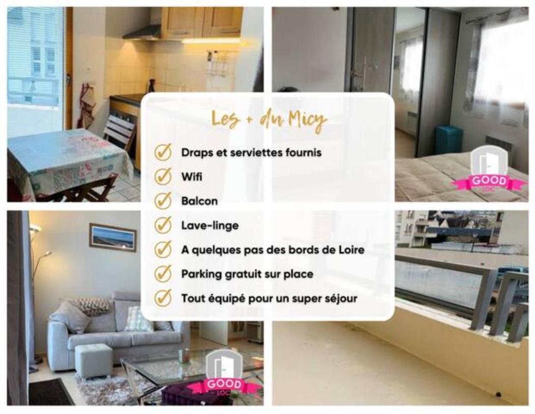 Le Micy - Joli T2 + Parking Apartment Orleans Ngoại thất bức ảnh
